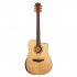 Акустическая гитара Omni D-560 фото 1