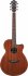 Электроакустическая гитара Ibanez AEG220-LGS фото 1