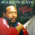 Виниловая пластинка Sony Marvin Gaye Sexual Healing: The Remixes (Limited Red Smoke Vinyl) фото 1