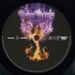 Виниловая пластинка Deep Purple — PHOENIX RISING (2LP) фото 9
