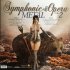 Виниловая пластинка Symphonic & Opera Metal Vol.2 фото 2