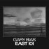 Виниловая пластинка Gary Bias - East 101 (Analogue) (Black Vinyl LP) фото 1