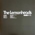 Виниловая пластинка Lemonheads, The - Hotel Sessions (RSD2024, Black Vinyl LP) фото 2