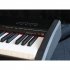 Клавишный инструмент Sai Piano P-9BK фото 2