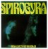 Виниловая пластинка Spirogyra - Bells, Boots And Shambles (Coloured Vinyl LP) фото 1