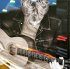 Виниловая пластинка Mike Oldfield - Guitars (Translucent Blue LP, Limited) фото 6