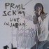 Виниловая пластинка Primal Scream LIVE IN JAPAN (180 Gram/Gatefold) фото 1