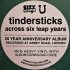 Виниловая пластинка Tindersticks — ACROSS SIX LEAP YEARS (LP) фото 5