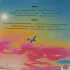 Виниловая пластинка Calvin Harris - Funk Wav Bounces Vol.2 (BlackVinyl LP) фото 2