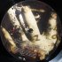 Виниловая пластинка Sony Ozzy Osbourne Memoirs Of A Madman (180 Gram/Remastered/Gatefold) фото 7