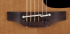 Электроакустическая гитара Takamine PRO SERIES 1 P1NC фото 4