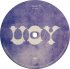Виниловая пластинка Kasabian WEST RYDER PAUPER LUNATIC ASYLUM (10 Vinyl/Gatefold) фото 4