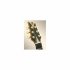 Акустическая гитара Alhambra 900-A-Luthier A B (кейс в комплекте) фото 3