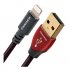 Кабель AudioQuest Cinnamon Lightning-USB 0.3m фото 1