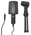Микрофон Ritmix RDM-125 Black фото 4