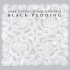 Виниловая пластинка Mark Lanegan; Garwood, Duke - Black Pudding (BlackVinyl LP) фото 1