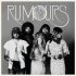 Виниловая пластинка Fleetwood Mac - Rumours Live (Black Vinyl 2LP) фото 1