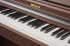 Цифровое пианино Becker BDP-92R фото 2
