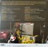Виниловая пластинка Sonic Youth - Hits Are For Squares (RSD2024, Gold Nugget Vinyl 2LP) фото 2