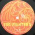 Виниловая пластинка Foo Fighters SKIN AND BONES (180 Gram) фото 3