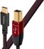 Кабель AudioQuest Cinnamon USB-C - USB-B, 0.75 м фото 1