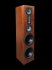 Напольная акустика Legacy Audio Focus XD black oak фото 3