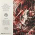 Виниловая пластинка Sony Deicide Overtures Of Blasphemy (180 Gram Black Vinyl) фото 2