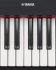 Клавишный инструмент Yamaha NP-31 Piaggero фото 4