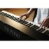 Клавишный инструмент Sai Piano P-9BK фото 8