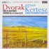 Виниловая пластинка Istvan Kertesz - Dvorak: Symphony No.5 (Analogue) (Black Vinyl LP) фото 1