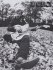 Виниловая пластинка Dan Auerbach WAITING ON A SONG (Black Vinyl) фото 2