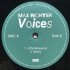 Виниловая пластинка Max Richter - Voices фото 10