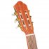 Классическая гитара Bamboo GC-39 Pro Slim Q фото 6