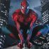Виниловая пластинка Danny Elfman – Spider-Man (Original Motion Picture Score) (Limited Edition Silver Vinyl LP) фото 4
