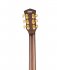 Электроакустическая гитара Cort Gold-A8-WCASE-NAT фото 3