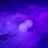 Генератор мыльных пузырей / дыма гибридный MLB FP-2 фото 3