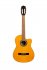Гитара классическая Sevillia DS-120 CNT фото 1