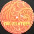 Виниловая пластинка Foo Fighters SKIN AND BONES (180 Gram) фото 2