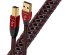 USB кабель AudioQuest Cinnamon USB-A - USB-B 1.5m фото 1