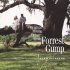 Виниловая пластинка Alan Silvestri - Forrest Gump (OST) фото 1