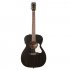 Электроакустическая гитара Art & Lutherie 042388 Legacy Faded Black QIT фото 1