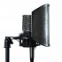 Студийный микрофон Aston Microphones Spirit Black Bundle фото 4