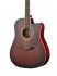 Акустическая гитара Naranda DG120CWRS фото 3