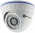 Камера видеонаблюдения IPTRONIC IPT-IPL1080DM(3,6)P фото 1