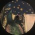 Виниловая пластинка Joanna Newsom - Have One On Me (Black Vinyl 3LP) фото 11