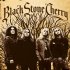 Виниловая пластинка Black Stone Cherry - Black Stone Cherry (Black Vinyl LP) фото 1