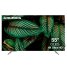 Телевизор Grundig 55 OLED GH 9500 фото 1