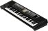 Клавишный инструмент Roland BK-5 фото 3