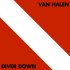 Виниловая пластинка Van Halen DIVER DOWN (180 Gram/Remastered) фото 1