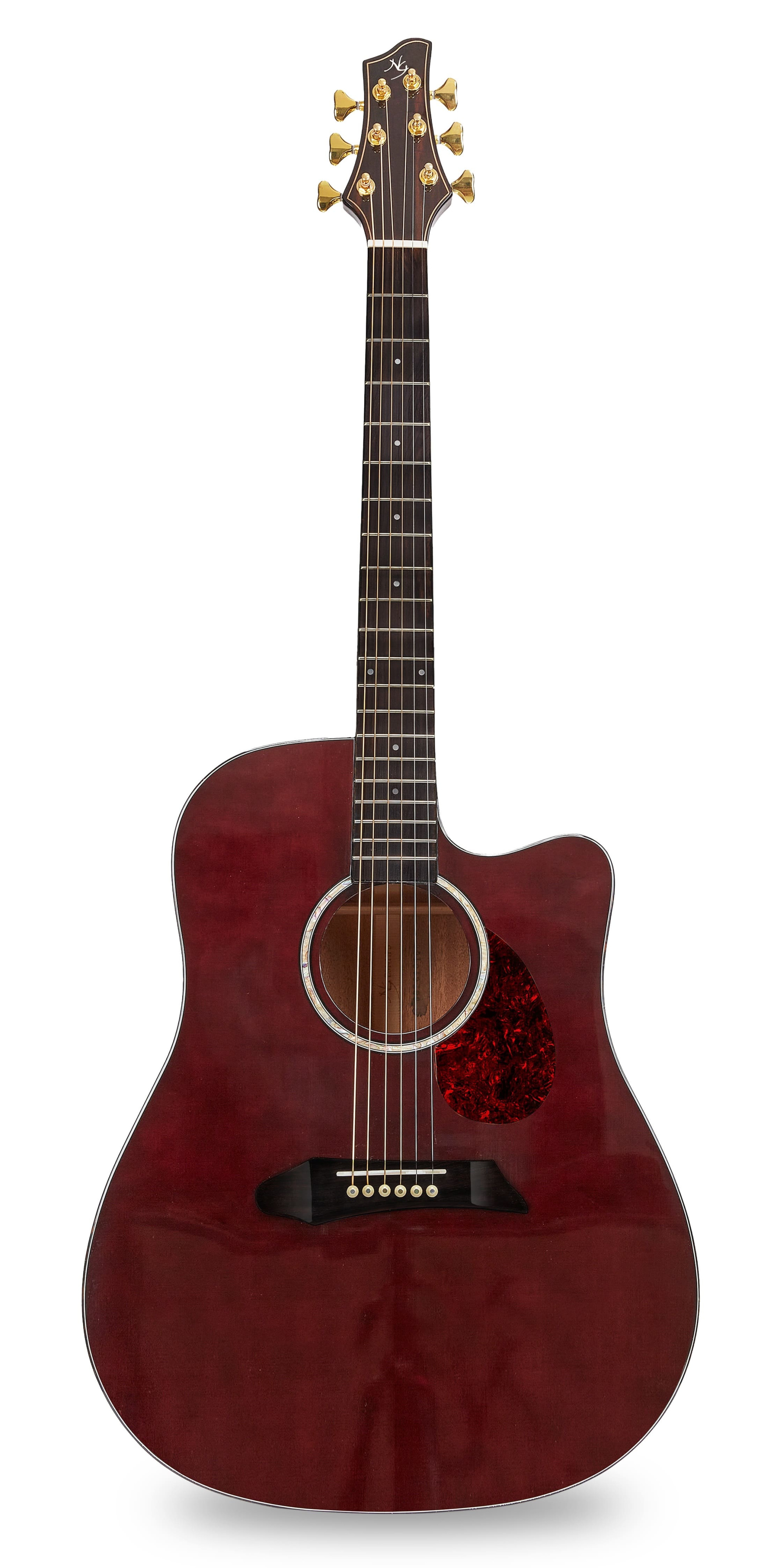 Акустические гитары NG DM411SC BR (чехол в комплекте) акустические гитары ng dm411sc peach